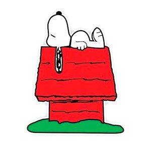 Meet your Posher, Jeremiah